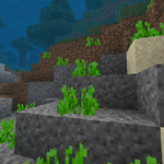 Sea Grass Minecraft Wiki Fandom