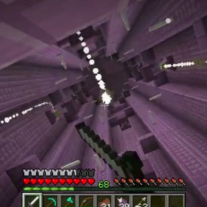 End City Gallery Minecraft Wiki Fandom