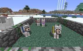 Loup minecraft
