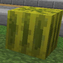 Melon Minecraft Wiki Fandom