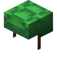 Water Breathing Minecraft Wiki Fandom