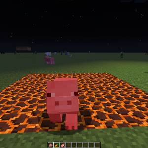 Magma Block Gallery Minecraft Wiki Fandom