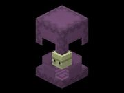 Shulker