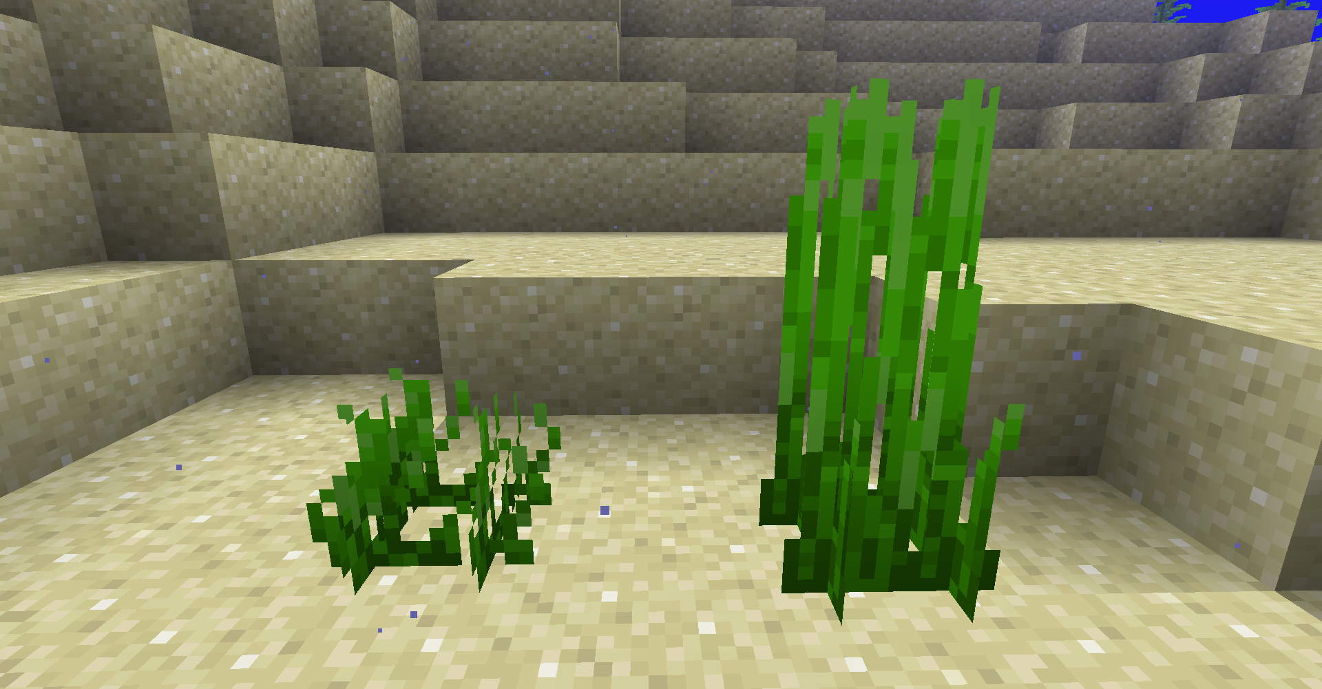 How To Make Seagrass Grow Minecraft 