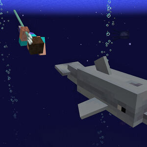 1 13 The Update Aquatic Gallery Minecraft Wiki Fandom