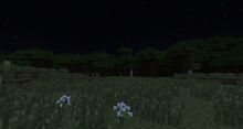 Image-1437394166
