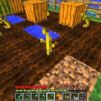 Melon Seeds Minecraft Wiki Fandom