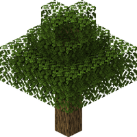 OakTree