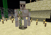 An Iron Golem Inside A-Player-made Structure