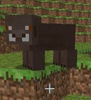 User blog:Dinolover42/African Animals | Minecraft Wiki | FANDOM powered ...