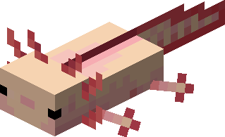 Axolotl | Minecraft Wiki | Fandom