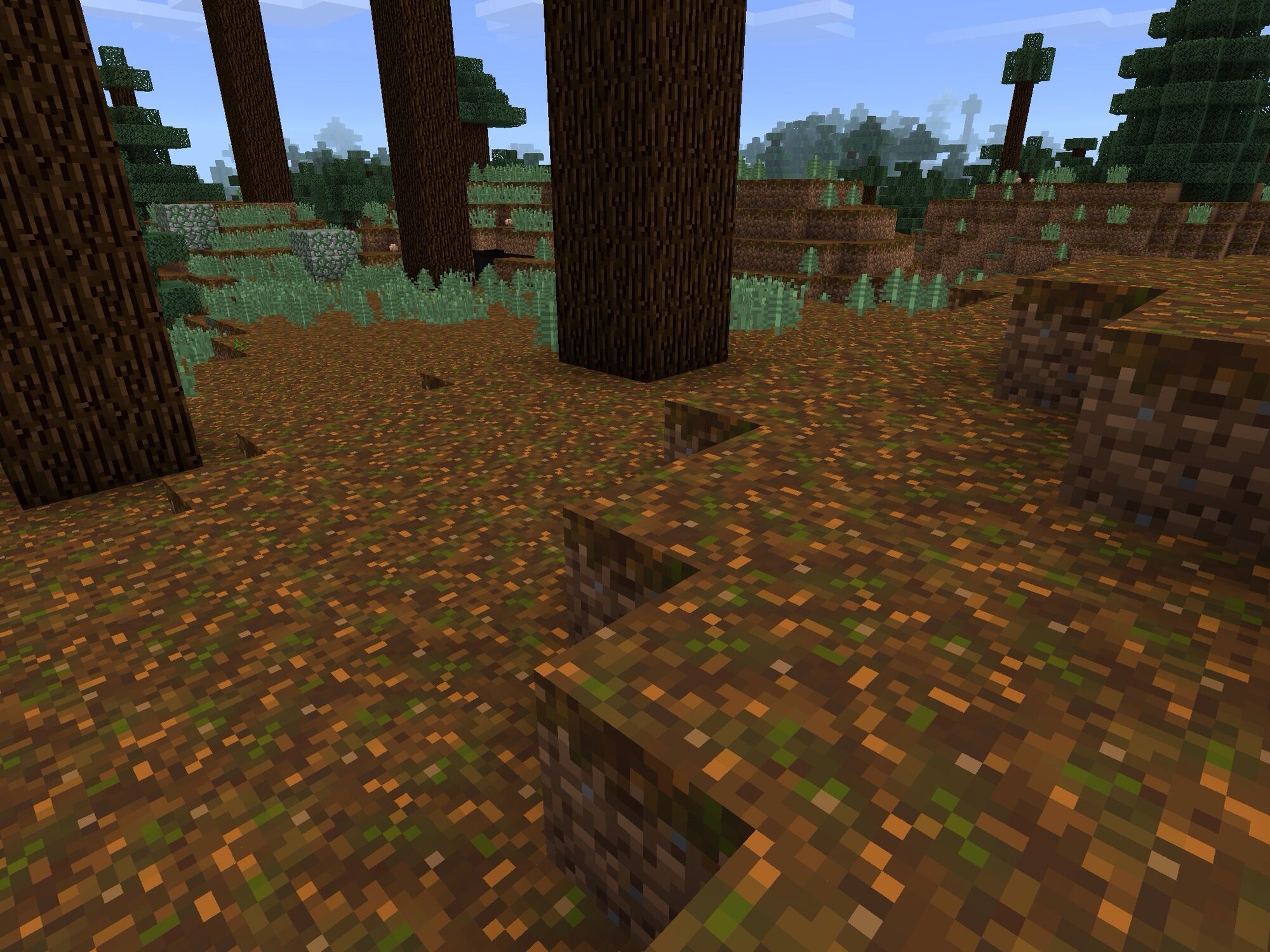 What Is Podzol Minecraft