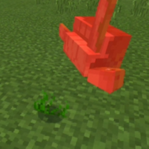 Sea Grass Minecraft Wiki Fandom