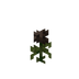 WitherRose