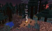 CampfireFirstLook