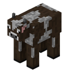 Vache0