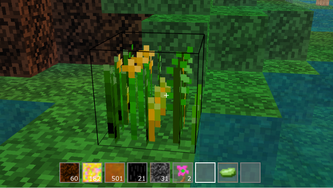 YellowFlowers