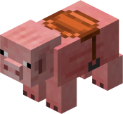 Cerdo con Montura