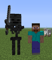 Witherluuranko steve