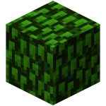 Leaves | Minecraft Wiki | FANDOM powered by Wikia