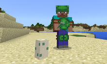 Turtle armor