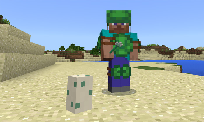 Turtle Shell  Minecraft Wiki  FANDOM powered by Wikia