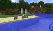 Turtle Eggs