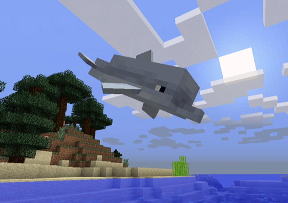 Dolphin  Minecraft Wiki  FANDOM powered by Wikia