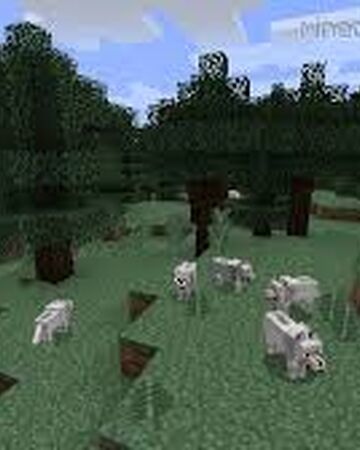 Taiga Biome Minecraft Wiki Fandom