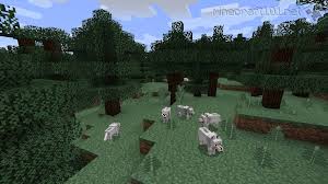 Taiga Biome Minecraft Wiki Fandom