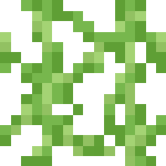 20110911095722!Vines