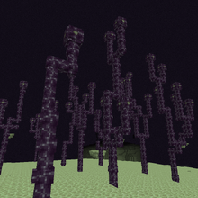 Chorus Plant Minecraft Wiki Fandom