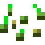 Seeds