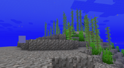 Cold Ocean