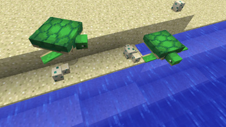  Turtle Minecraft Wiki FANDOM powered by Wikia