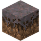MyceliumNew