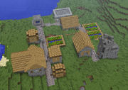 NPC Village Overhead