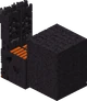 BastionRemnant