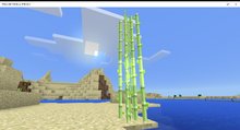 Sugar Cane  Minecraft Wiki  FANDOM powered by Wikia