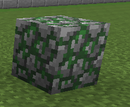Moss Stone Minecraft Wiki FANDOM powered by Wikia Moss Stone Minecraft Wiki FANDOM powered by Wikia