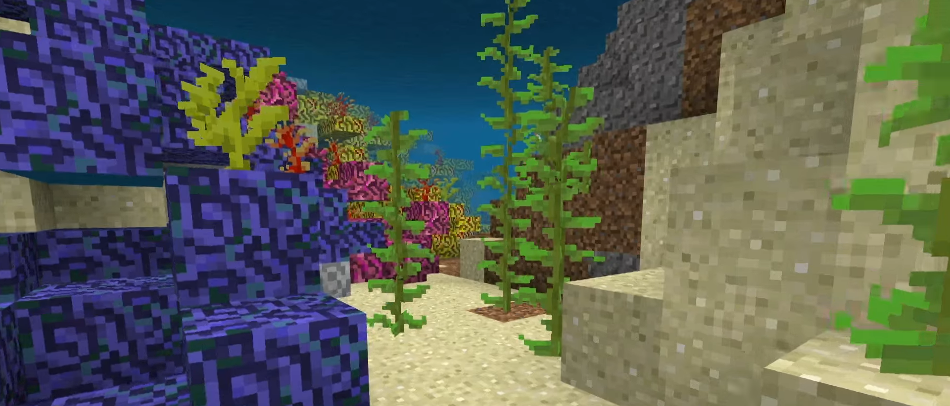 Coral | Minecraft Wiki | Fandom