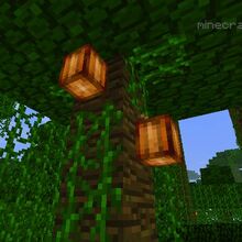 Cocoa Pods Minecraft Wiki Fandom