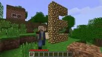 Chuck norris