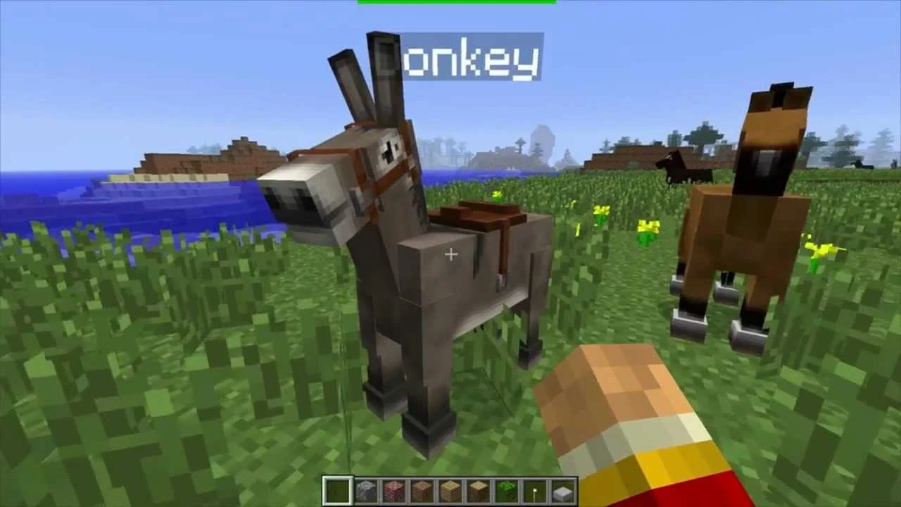 Donkey/Gallery Minecraft Wiki FANDOM powered by Wikia