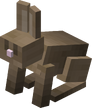 Lapin