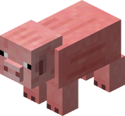 Cochon