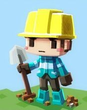 Steve miner
