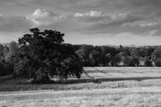 180px-28201590