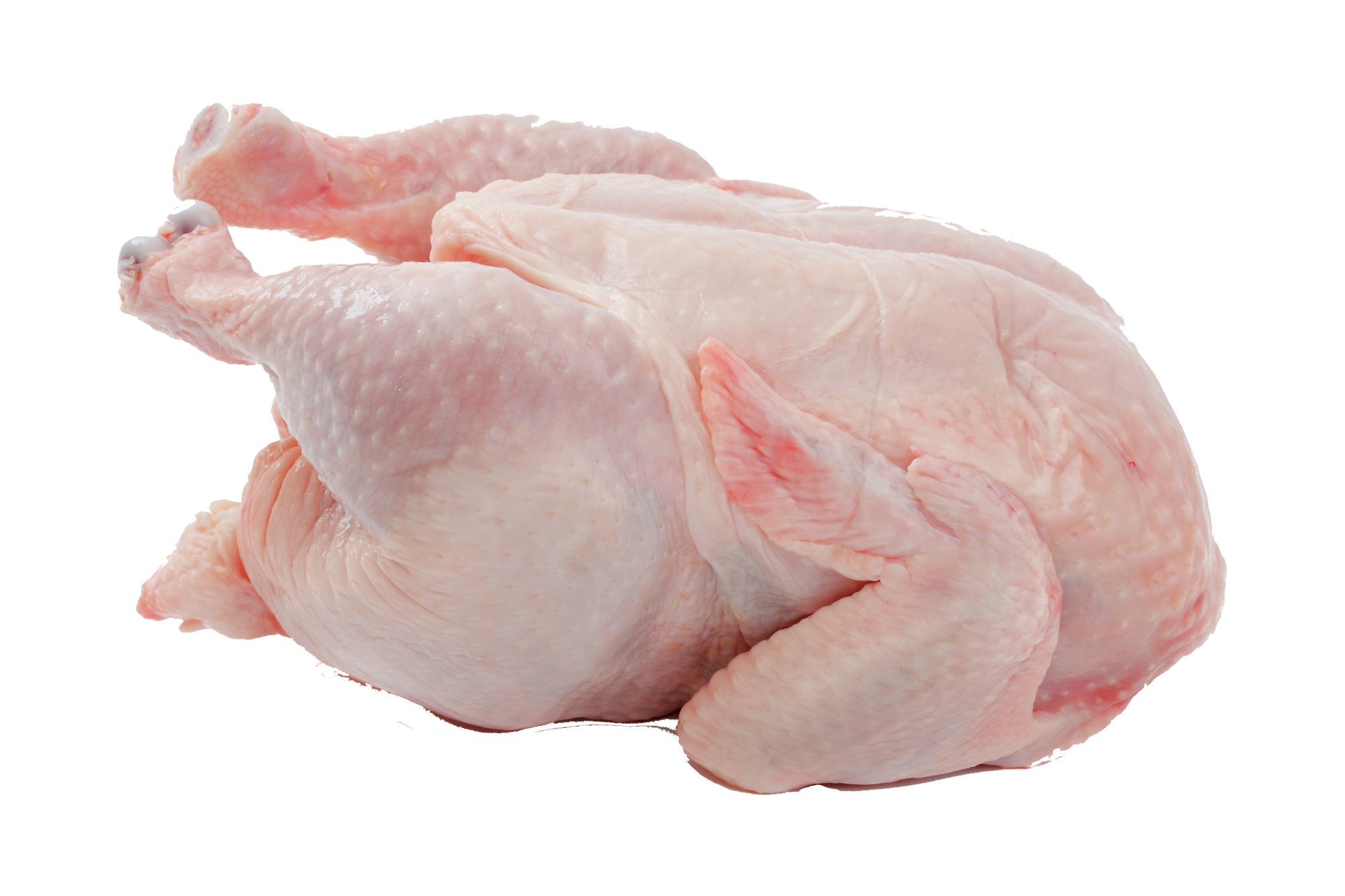 Image - Chicken-Meat.png | Minecraft CreepyPasta Wiki | FANDOM powered