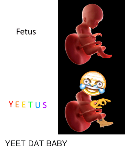 Yeetus The Fetus Yeetus The Fetus Youtube - yeetus feetus roblox memes deletus gocommitdie